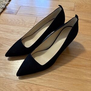 Everlane Black Pointed Toe Flats